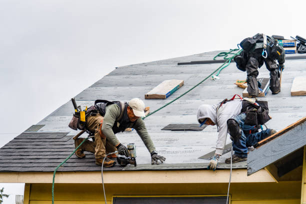 Professional Storm Damage Roof Repair technician working in Crowley, CO